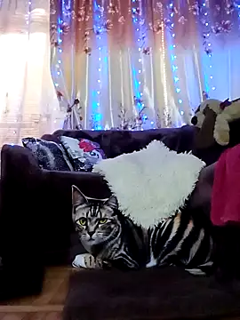 SquirtMilf00 online show from 02-18-25, 07:10