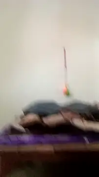 Guriya0076 online show from 02-23-26, 11:07