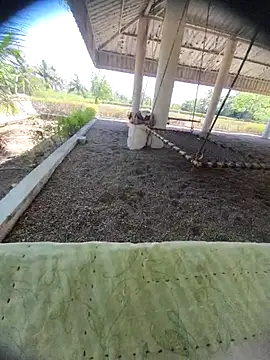 Desi Horny Boys online show from 03-24-26, 08:19