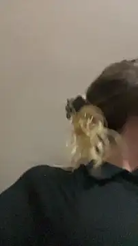 blond-96 online show from 04-03-26, 04:32