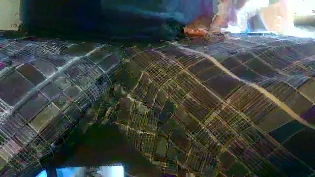 Cock4LadiesONLY online show from 03-31-26, 01:00