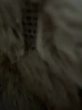 anonimgirl18old online show from 02-25-26, 08:35