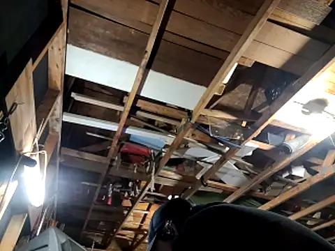 thejuicybacon online show from 11-22-25, 02:10