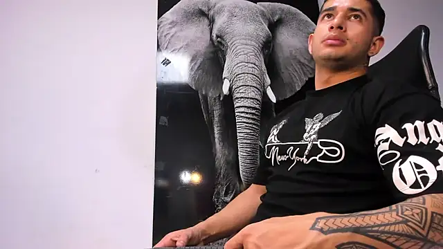 king falconer online show from 10-19-25, 11:49