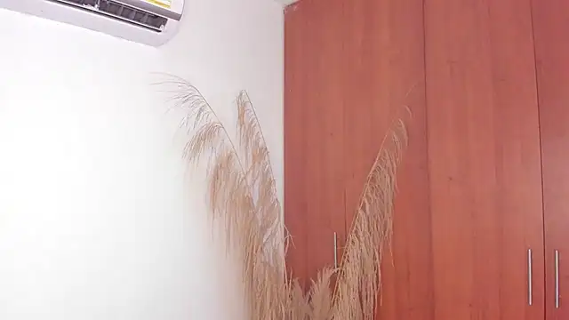 Snapshot of Evansdark1 chatting on 11-09-25, 10:52 Evansdark1 online show from 11-09-25, 10:52