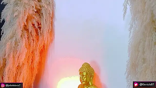 JulietaDavis online show from 04-15-26, 09:38