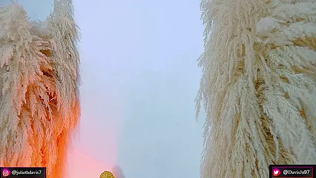 JulietaDavis online show from 04-17-26, 09:34