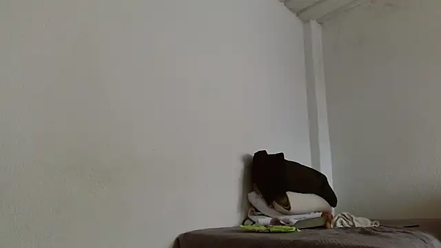 Snapshot of isabel_24_gil chatting on 11-13-25, 04:50 isabel 24 gil online show from 11-13-25, 04:50