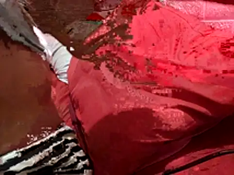 Kellye hotTs online show from 02-04-26, 02:17