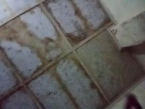 Snapshot of RFeltomWhitJ chatting on 11-17-25, 01:11 RFeltomWhitJ online show from 11-17-25, 01:11