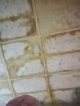 Snapshot of RFeltomWhitJ chatting on 11-18-25, 11:15 RFeltomWhitJ online show from 11-18-25, 11:15