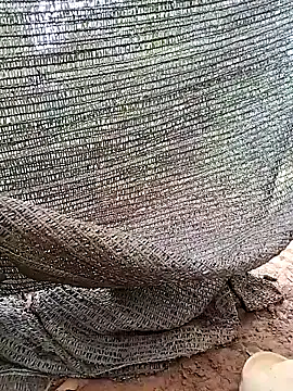 Tina 2pp online show from 11-05-25, 11:27