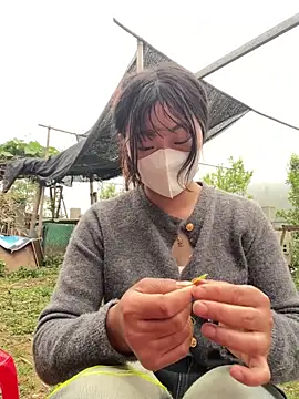 isaaa5 online show from 04-17-26, 10:18