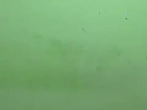 rockyy23boy online show from 10-15-25, 10:26