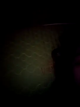 daisylouis online show from 05-02-26, 02:55