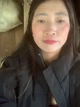 Snapshot of ThiHa003 chatting on 11-18-25, 06:51 ThiHa003 online show from 11-18-25, 06:51