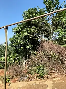 Snapshot of ThiHa003 chatting on 11-27-25, 03:52 ThiHa003 online show from 11-27-25, 03:52