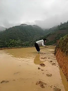 ThiHa003 online show from 04-02-26, 02:42