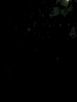 Girls pussy rider online show from 02-27-26, 05:35