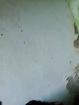 Snapshot of perversa068 chatting on 02-04-26, 11:27 perversa068 online show from 02-04-26, 11:27