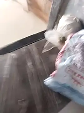 Wet BunnyFun online show from 02-25-26, 10:03