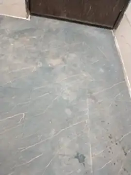 Wet BunnyFun online show from 04-13-26, 06:02