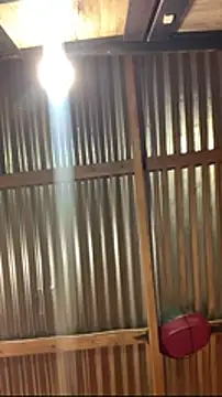 jabulani2600 online show from 01-06-26, 09:07