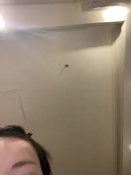 MengMeng0515 online show from 03-11-26, 02:23