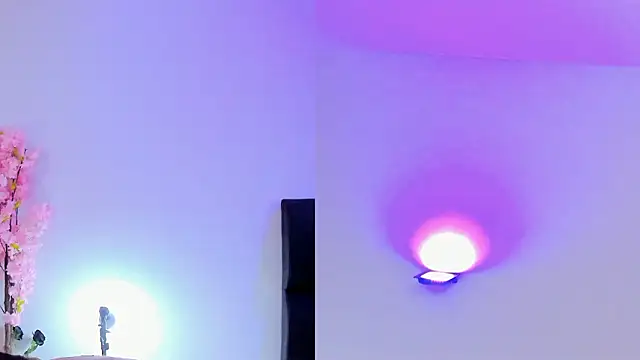 maily zanss online show from 02-01-26, 07:56