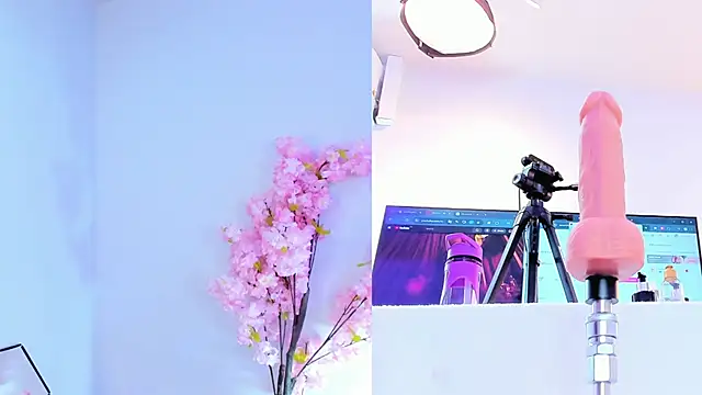 maily zanss online show from 03-04-26, 07:42