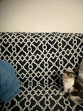 Sweet lollipop25 online show from 01-11-26, 09:20