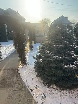 Michel huge online show from 01-18-26, 07:56