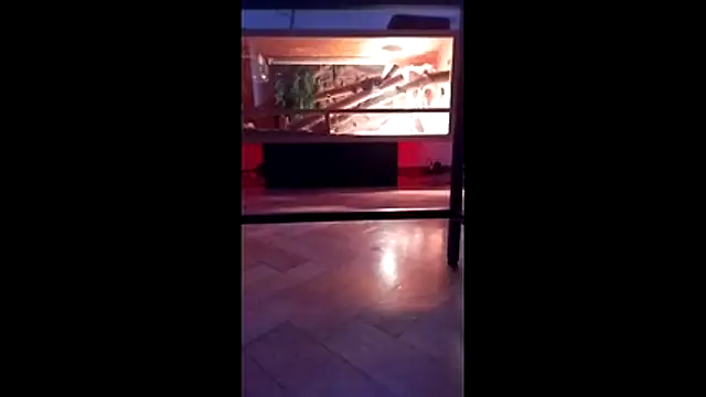 M6I6K6Exh online show from 12-04-25, 07:28