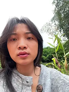 Phayphay77 online show from 11-03-25, 08:37