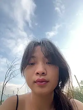 Phayphay77 online show from 11-06-25, 12:00