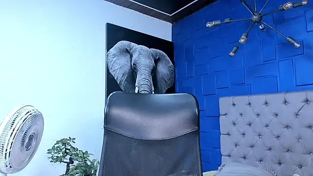 andres-clark92 online show from 10-26-25, 06:14