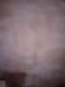 ddllrr224 online show from 12-16-25, 11:43