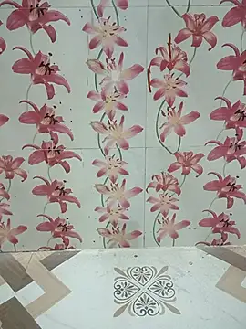 Meenaksi-singh online show from 10-12-25, 03:00