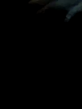 pollitaloca123 online show from 11-07-25, 09:04