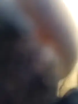 Snapshot of ShawnandDani7074 chatting on 02-04-26, 05:52 ShawnandDani7074 online show from 02-04-26, 05:52