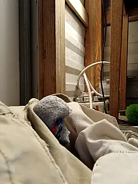 Snapshot of ShawnandDani7074 chatting on 02-17-26, 11:33 ShawnandDani7074 online show from 02-17-26, 11:33