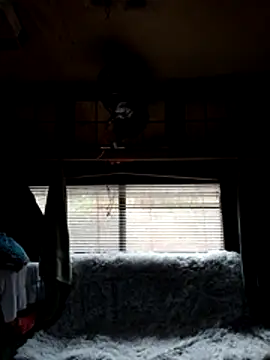 Snapshot of ShawnandDani7074 chatting on 02-22-26, 01:53 ShawnandDani7074 online show from 02-22-26, 01:53