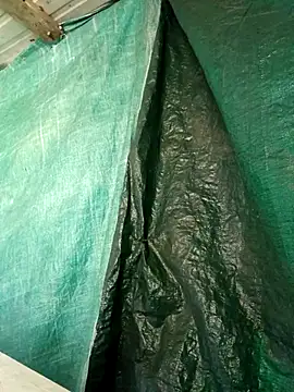 ShawnandDani7074 online show from 04-15-26, 04:36