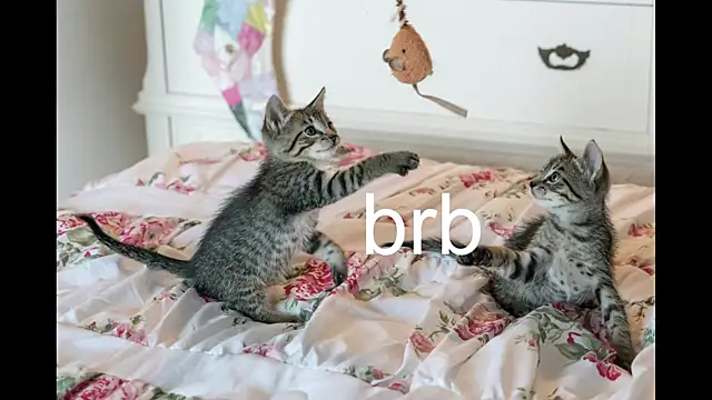 Pink girl0n online show from 09-24-25, 02:42