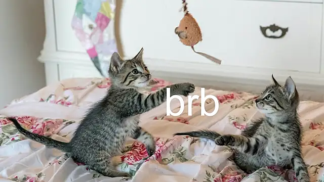 Pink girl0n online show from 03-25-26, 11:44