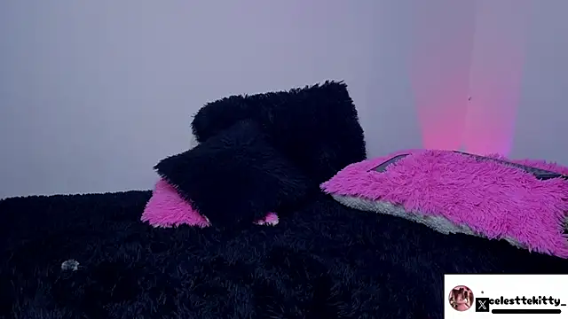 celestte evans 1 online show from 03-16-26, 03:45