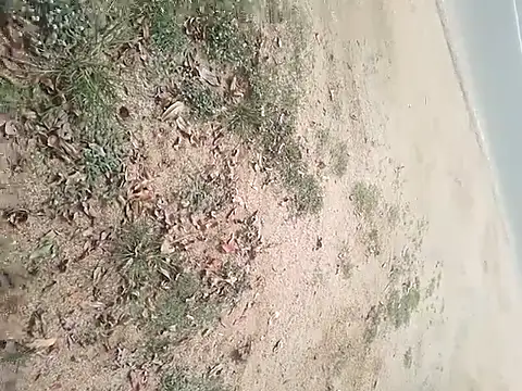 Snapshot of SAManthapathmasri chatting on 11-17-25, 07:47 SAManthapathmasri online show from 11-17-25, 07:47