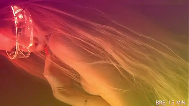 Alvuwkaa online show from 04-07-26, 01:00