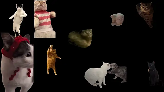 ch0wn m online show from 11-18-25, 03:38