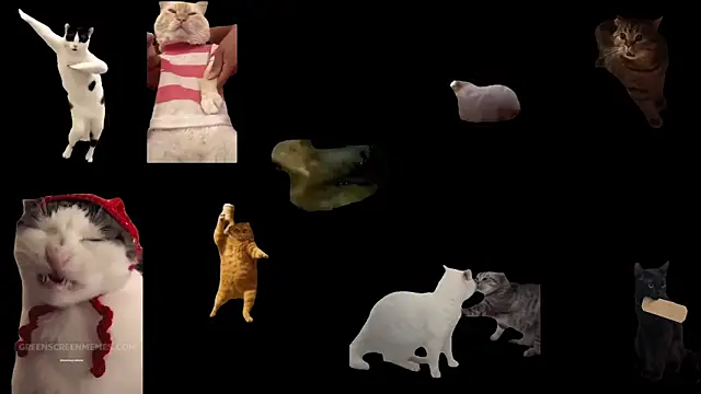 ch0wn m online show from 02-01-26, 02:59